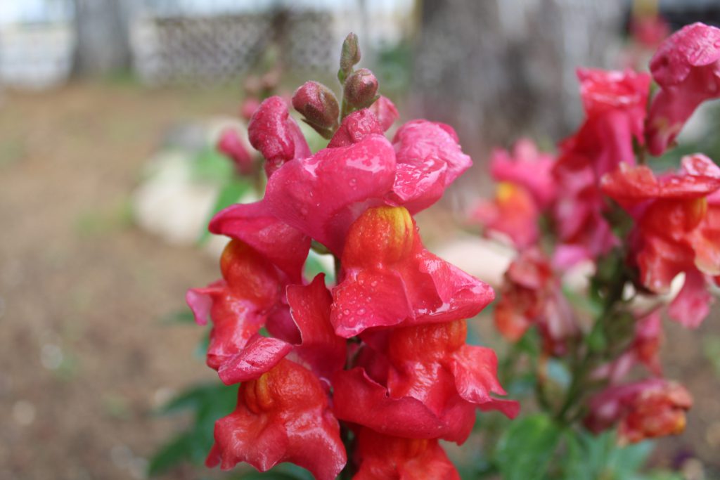 خارج الصندوق by raseel elawe - Illustrated by رسيل علاوي - Ourboox.com