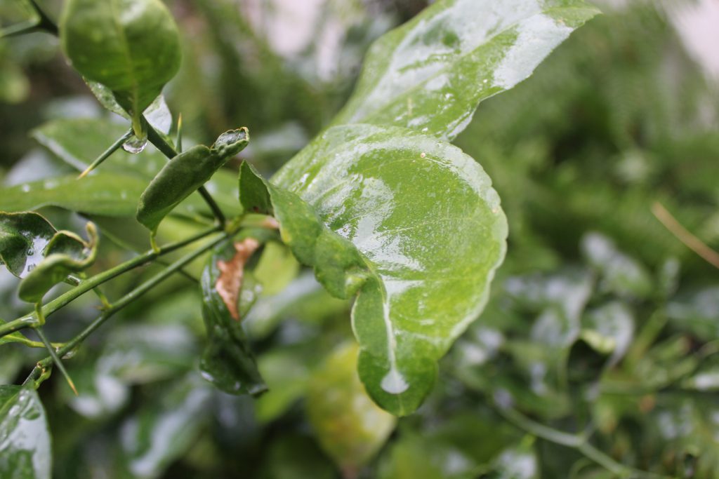 خارج الصندوق by raseel elawe - Illustrated by رسيل علاوي - Ourboox.com