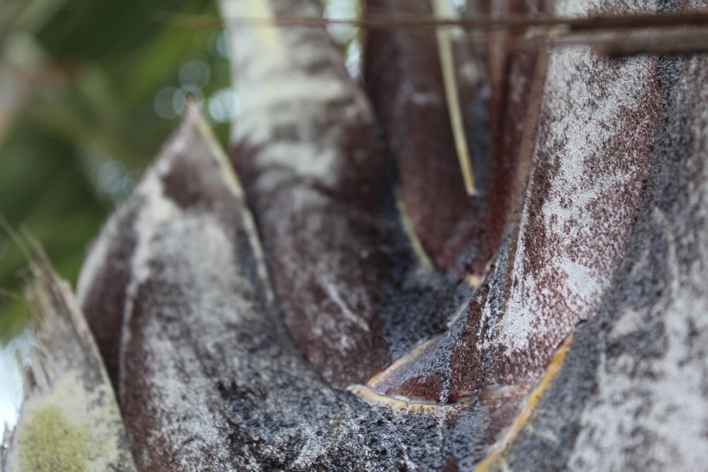 خارج الصندوق by raseel elawe - Illustrated by رسيل علاوي - Ourboox.com