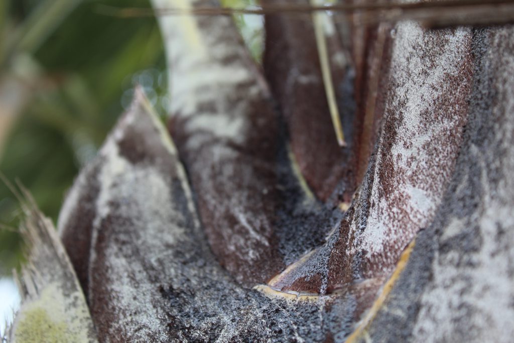 خارج الصندوق by raseel elawe - Illustrated by رسيل علاوي - Ourboox.com