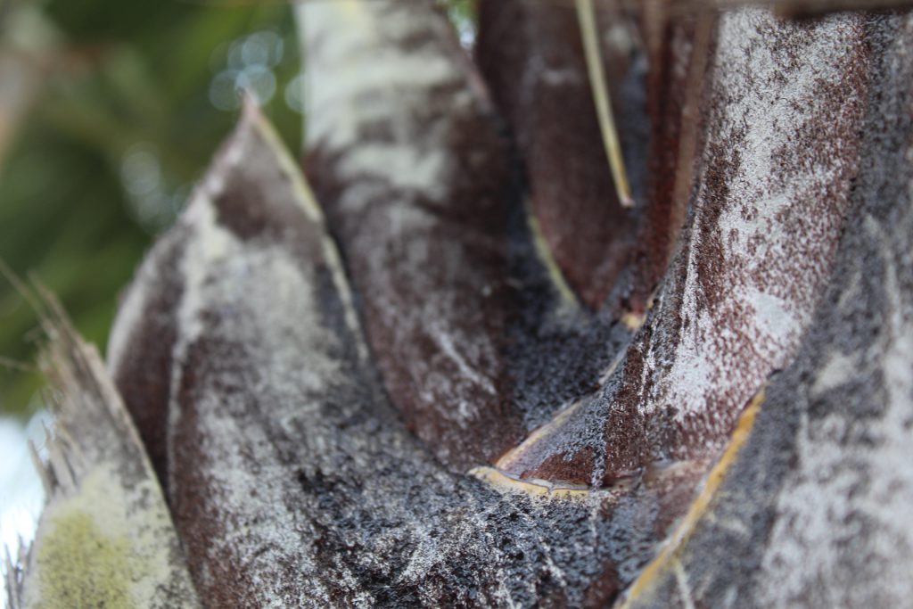 خارج الصندوق by raseel elawe - Illustrated by رسيل علاوي - Ourboox.com