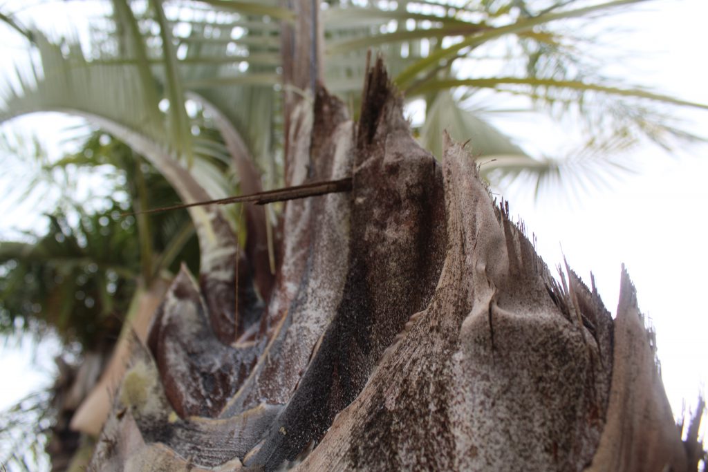 خارج الصندوق by raseel elawe - Illustrated by رسيل علاوي - Ourboox.com