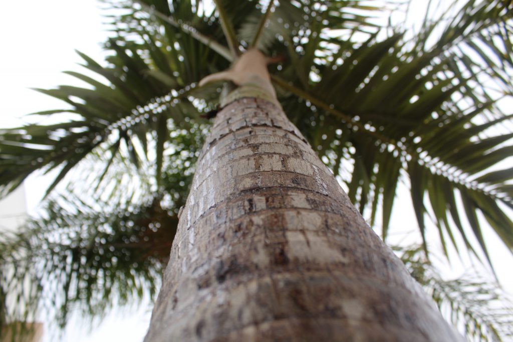 خارج الصندوق by raseel elawe - Illustrated by رسيل علاوي - Ourboox.com