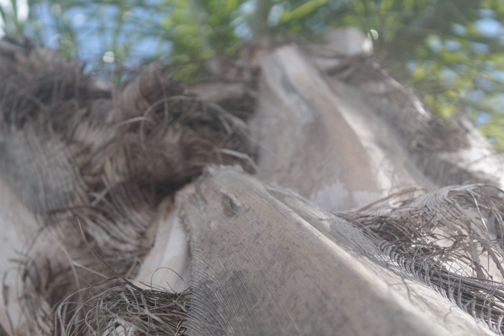 خارج الصندوق by raseel elawe - Illustrated by رسيل علاوي - Ourboox.com