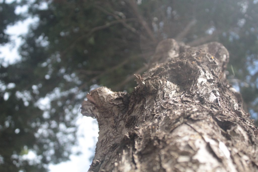 خارج الصندوق by raseel elawe - Illustrated by رسيل علاوي - Ourboox.com