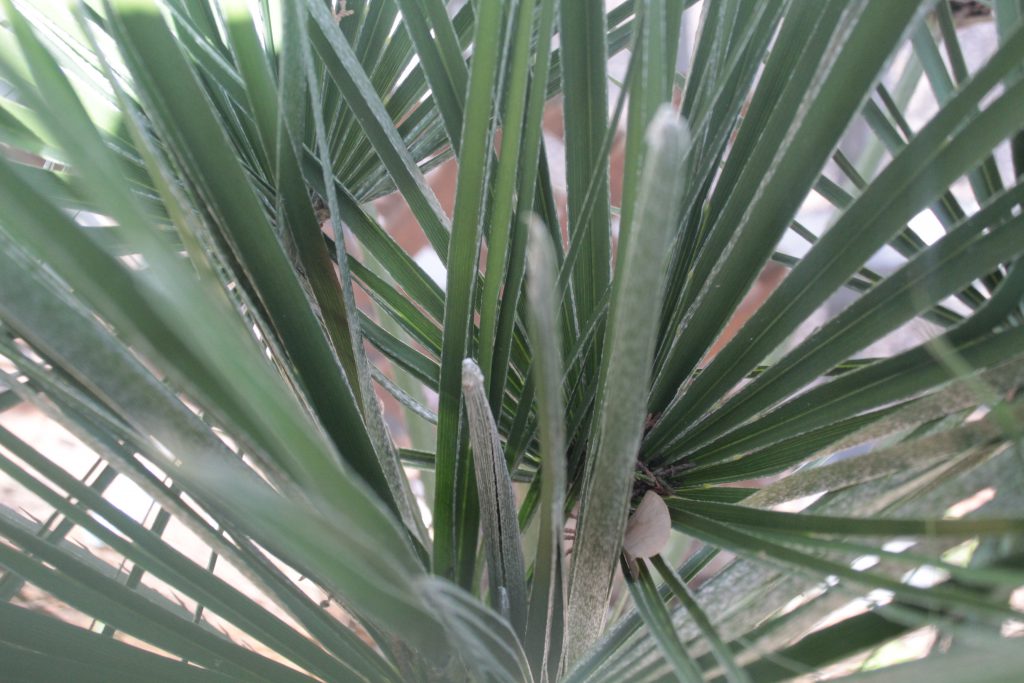 خارج الصندوق by raseel elawe - Illustrated by رسيل علاوي - Ourboox.com