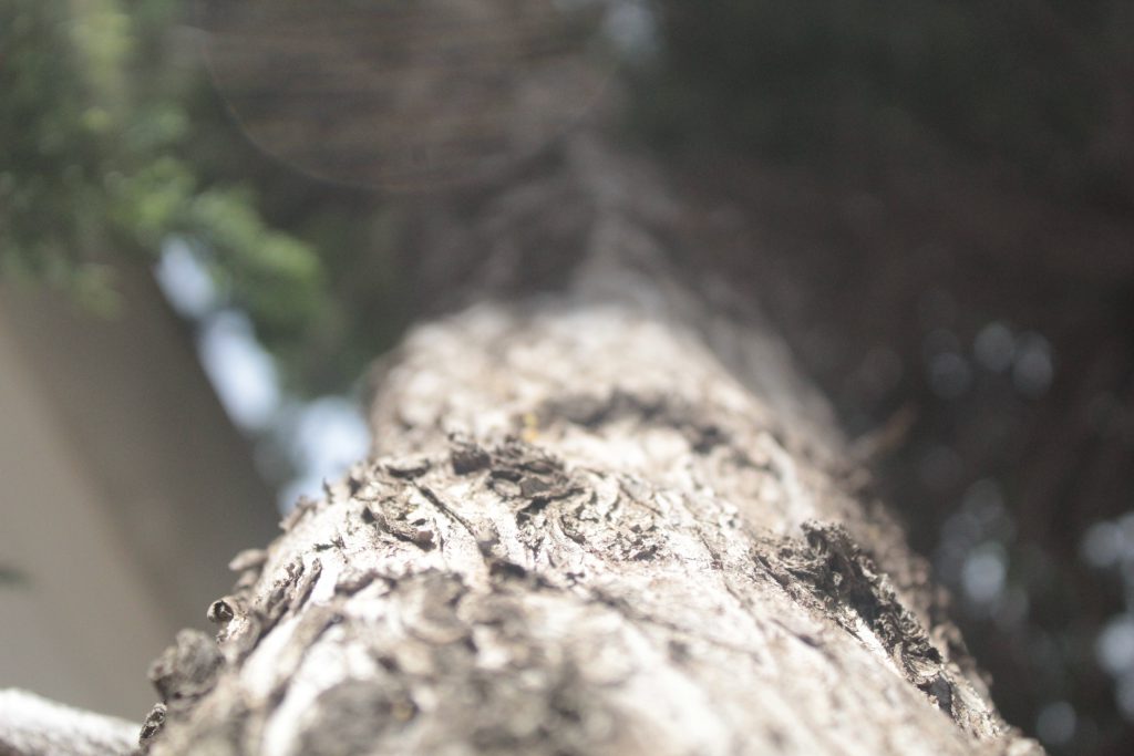 خارج الصندوق by raseel elawe - Illustrated by رسيل علاوي - Ourboox.com