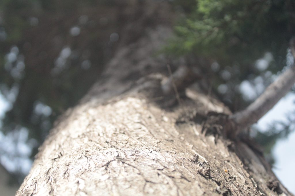 خارج الصندوق by raseel elawe - Illustrated by رسيل علاوي - Ourboox.com