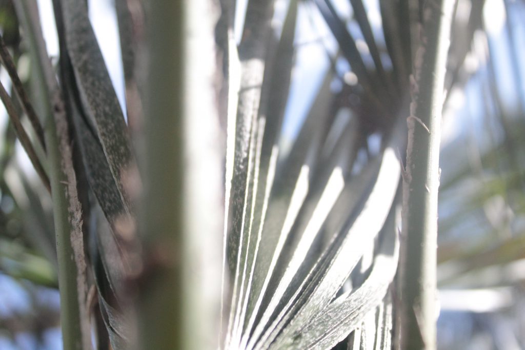 خارج الصندوق by raseel elawe - Illustrated by رسيل علاوي - Ourboox.com