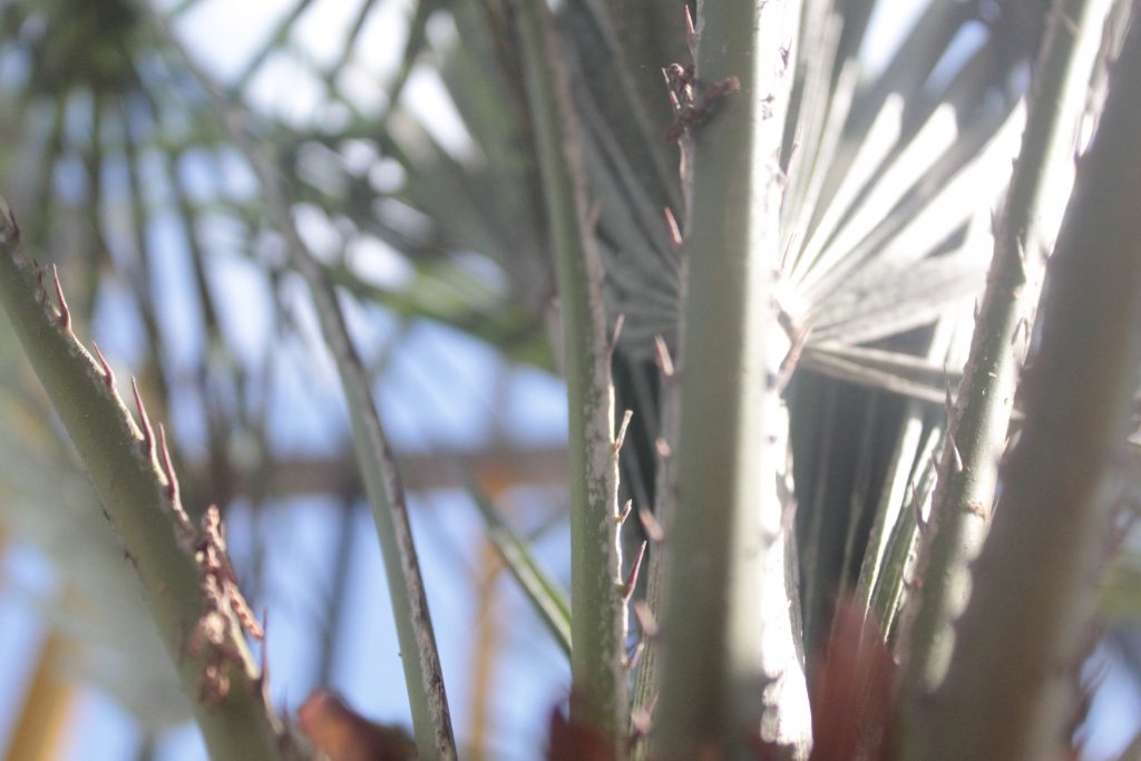 خارج الصندوق by raseel elawe - Illustrated by رسيل علاوي - Ourboox.com