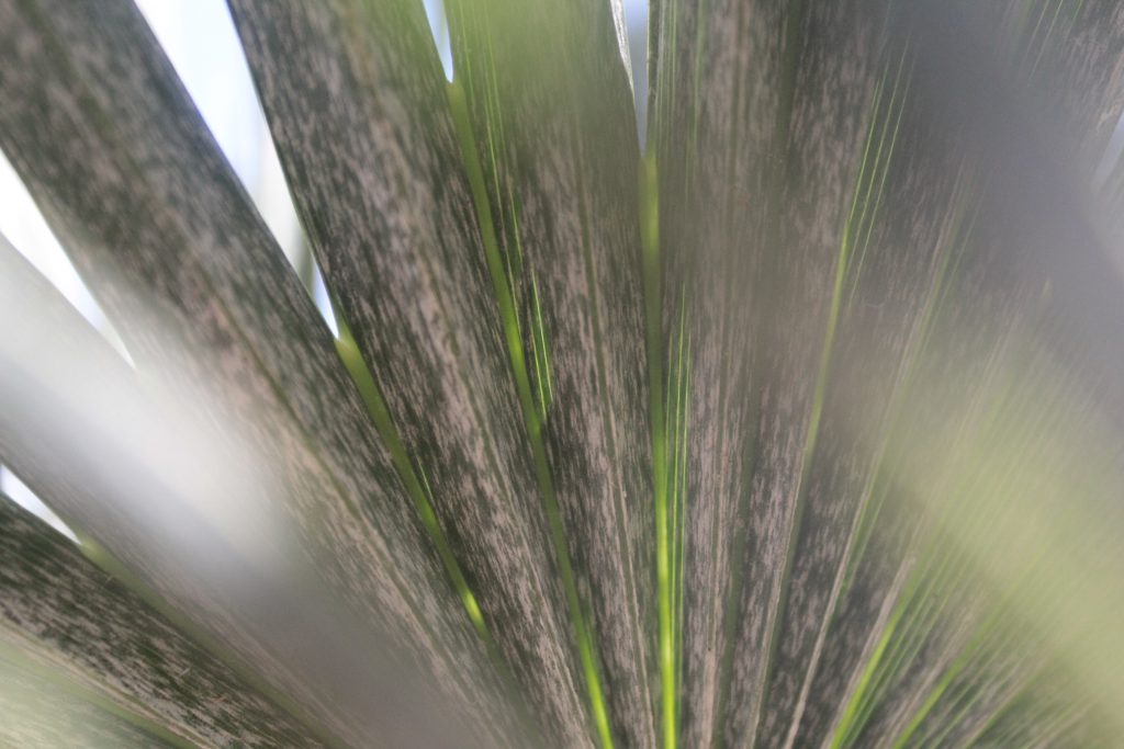 خارج الصندوق by raseel elawe - Illustrated by رسيل علاوي - Ourboox.com