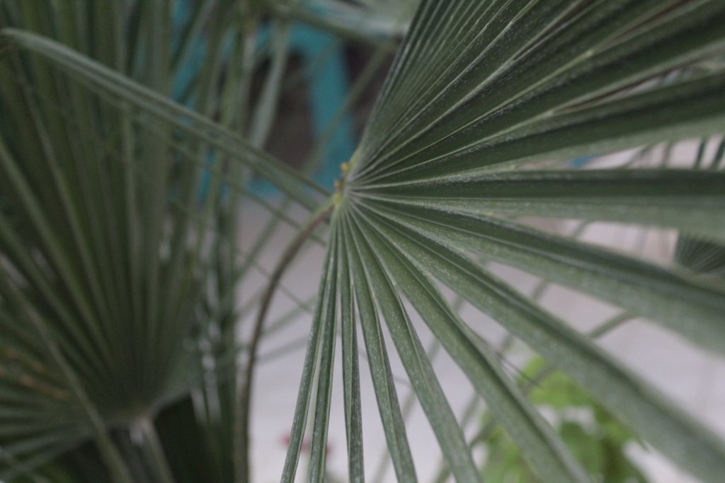 خارج الصندوق by raseel elawe - Illustrated by رسيل علاوي - Ourboox.com