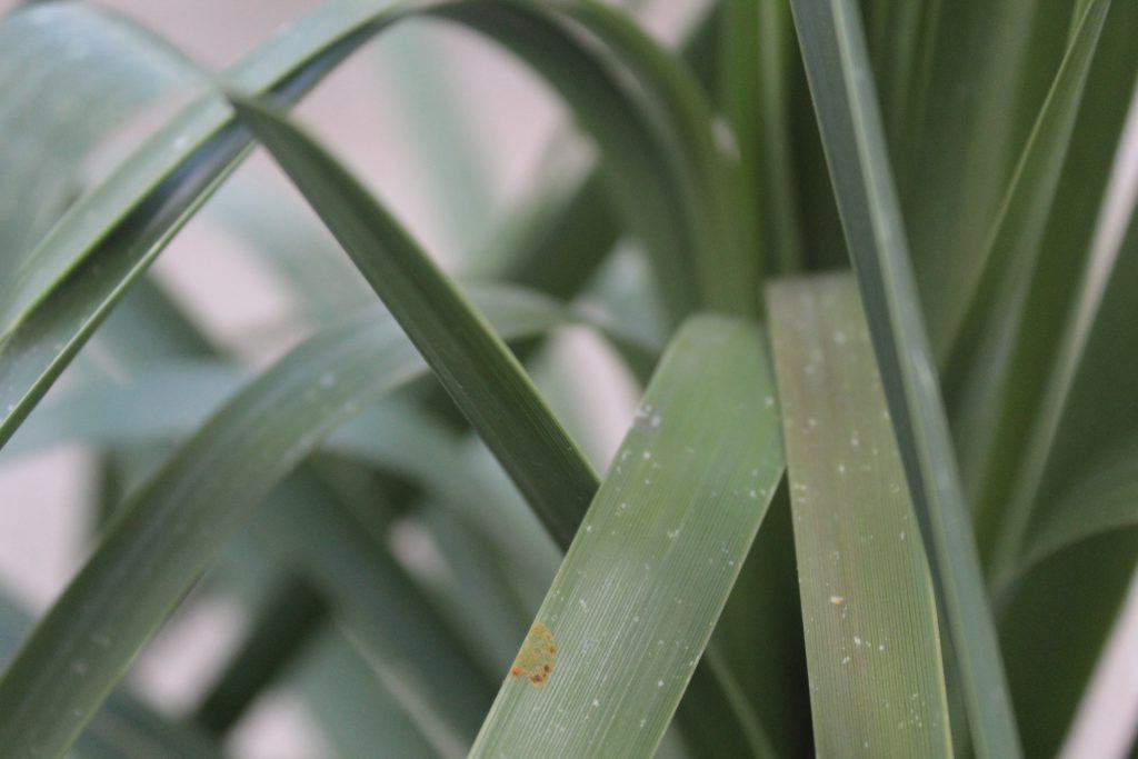 خارج الصندوق by raseel elawe - Illustrated by رسيل علاوي - Ourboox.com