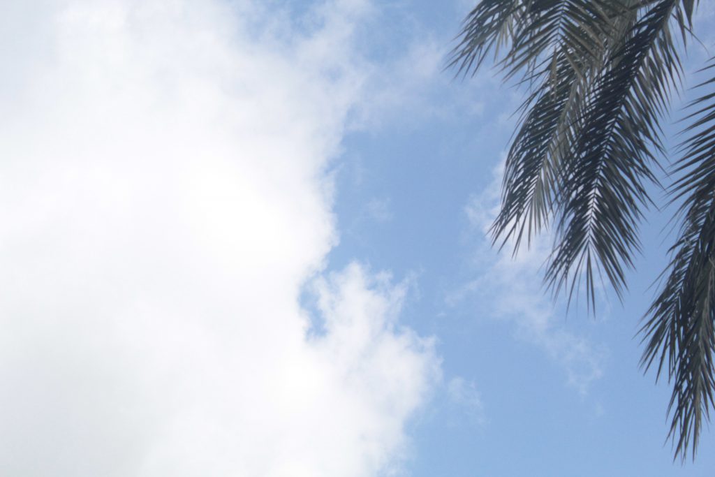 خارج الصندوق by raseel elawe - Illustrated by رسيل علاوي - Ourboox.com