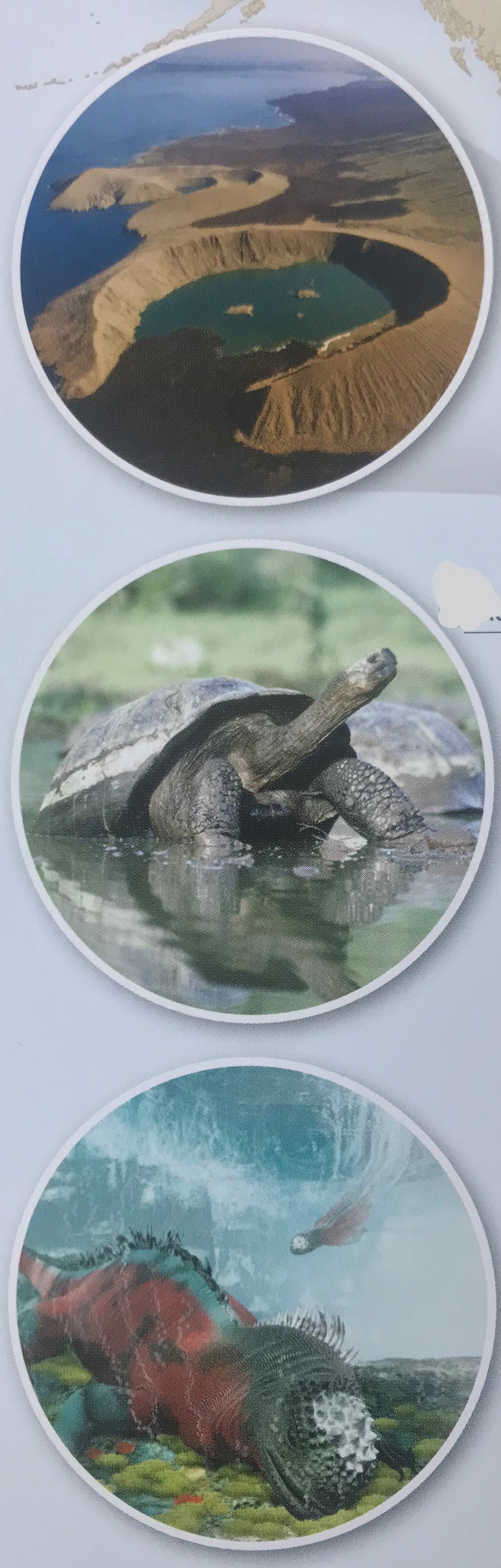 Еволюцията by Lyubomir Panev - Ourboox.com