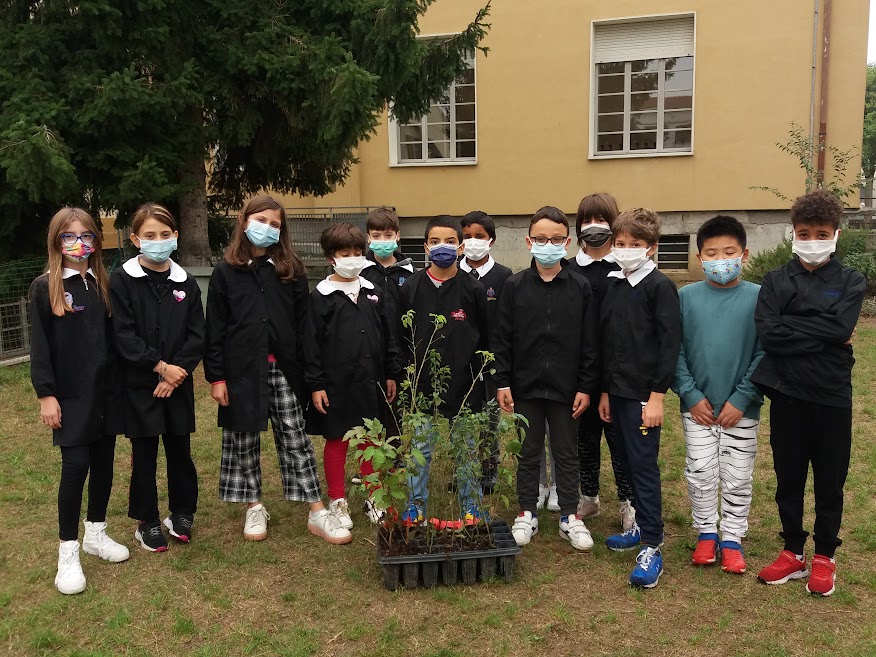 CORNIOLO di NICOLA GRUPPI by alunni - Illustrated by NICOLA GRUPPI - Ourboox.com