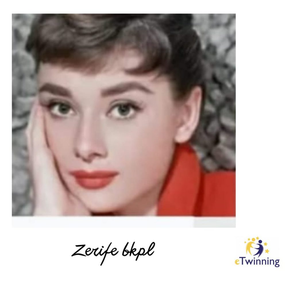 SUCCESSFUL WOMEN WHO IS WHO GAME by SeNu - Ourboox.com