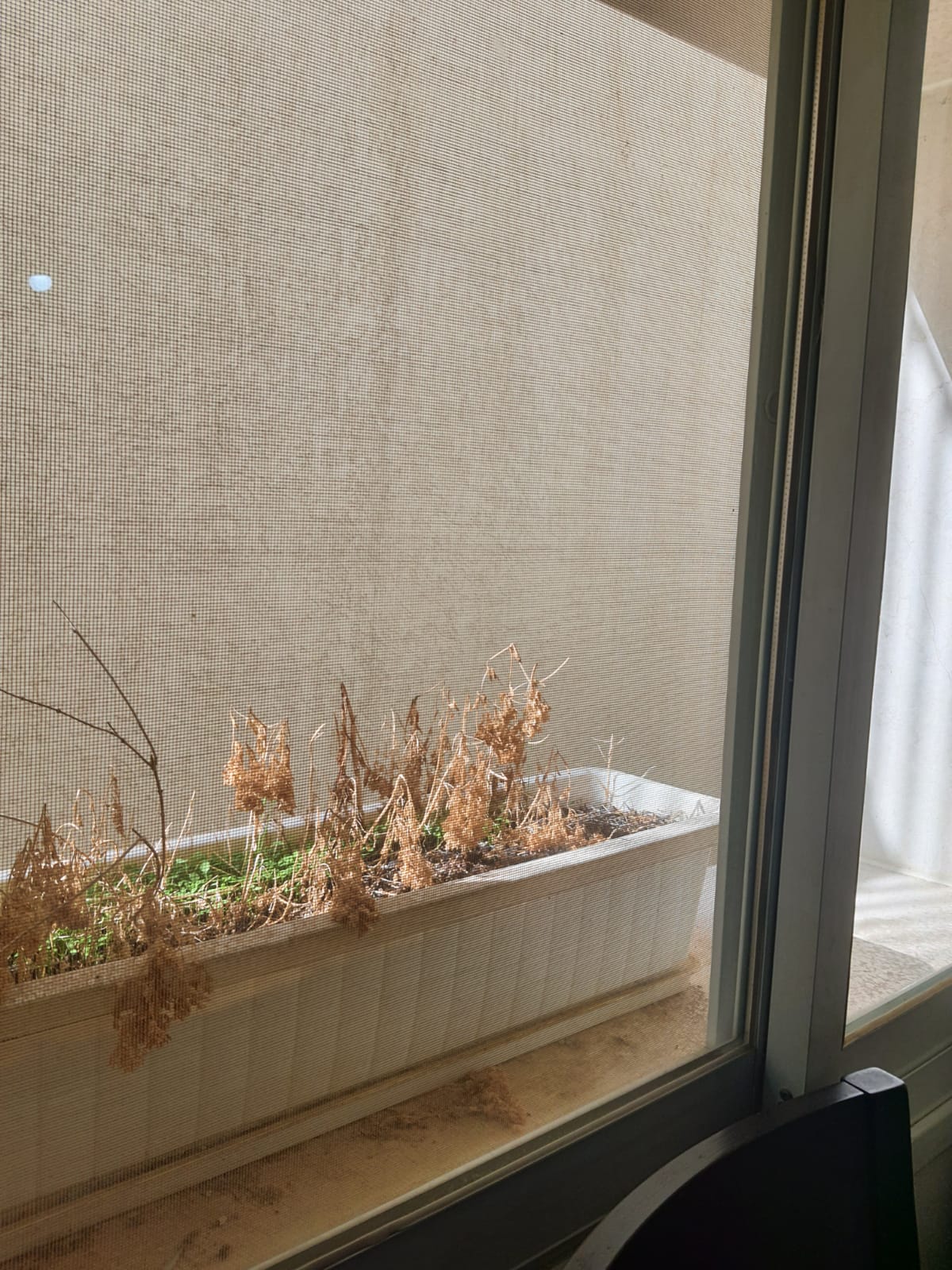 תמונות תקשורת ליאם חנניה by liamnjhbj - Ourboox.com