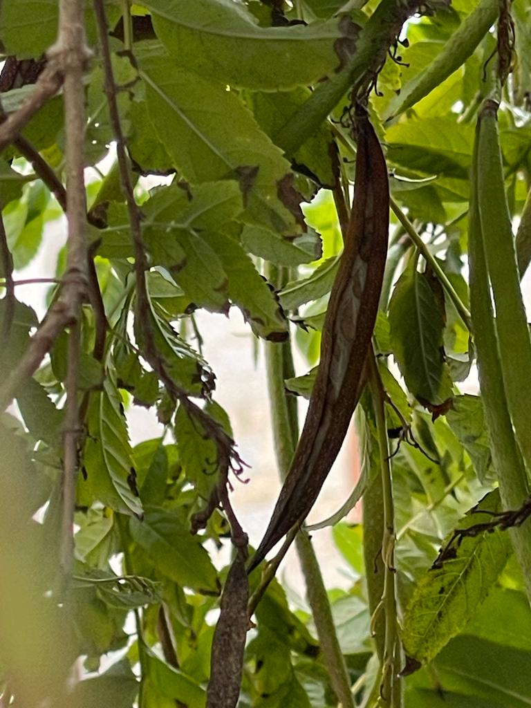 תיק הצילומים שלי by david natan - Ourboox.com