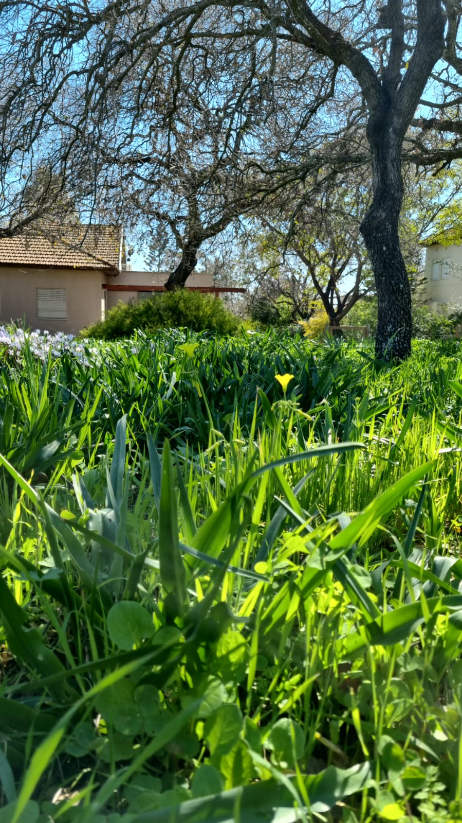 ילדי גן כלנית תיעוד בטבע by liron yogev - Ourboox.com