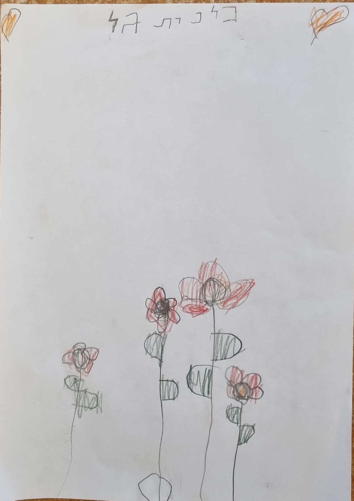 ילדי גן כלנית תיעוד בטבע by liron yogev - Ourboox.com