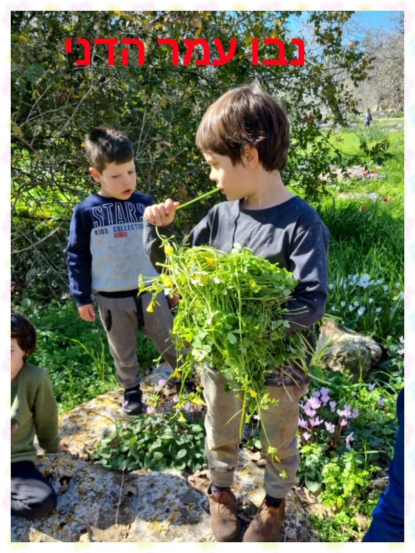 ילדי גן כלנית תיעוד בטבע by liron yogev - Ourboox.com