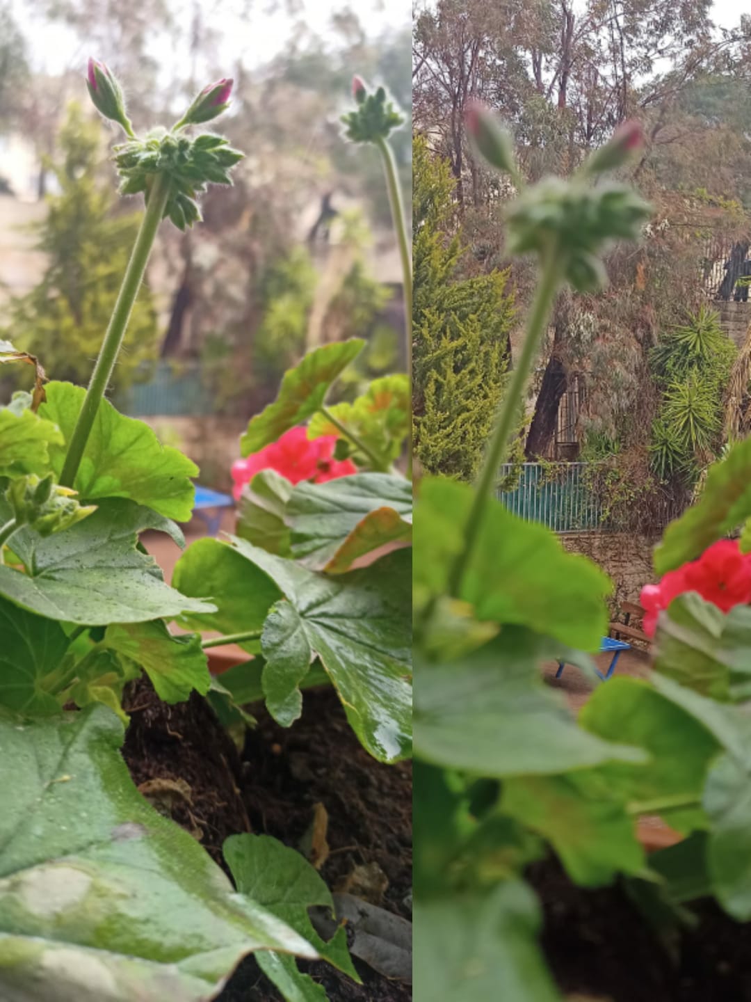 עבודה בתקשורת אוריאן צמח by orian zemah - Ourboox.com