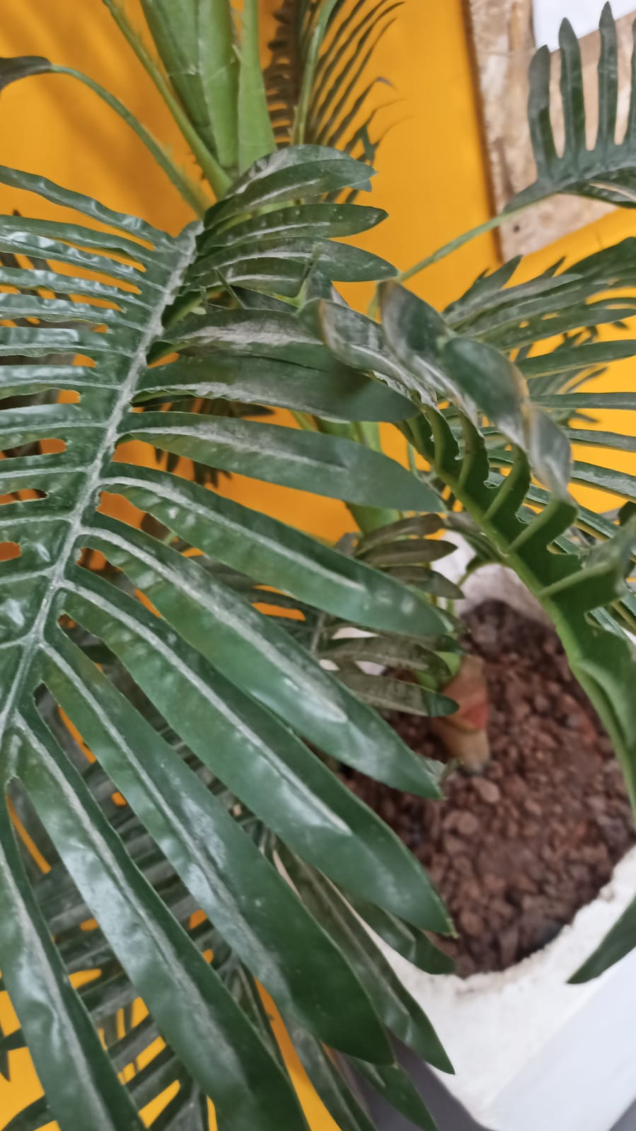 עבודה בתקשורת אוריאן צמח by orian zemah - Ourboox.com