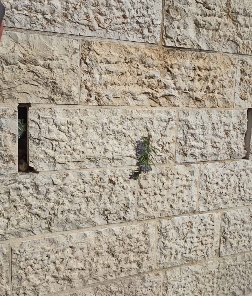 עבודה בתקשורת אוריאן צמח by orian zemah - Ourboox.com