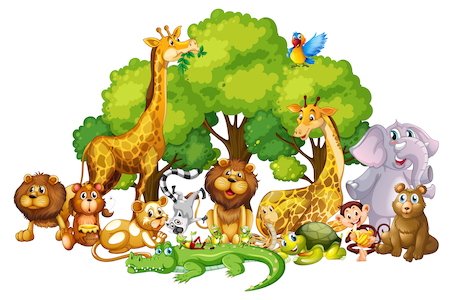 Animals by Nataliia Novosad - Illustrated by Nataliia Novosad - Ourboox.com