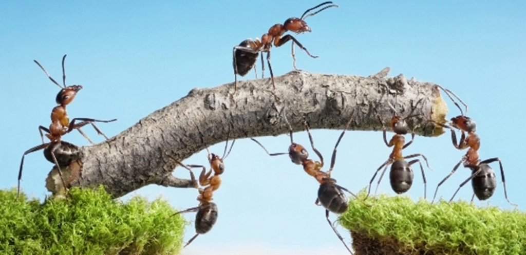 נעים במרחב משותף by zada - Ourboox.com