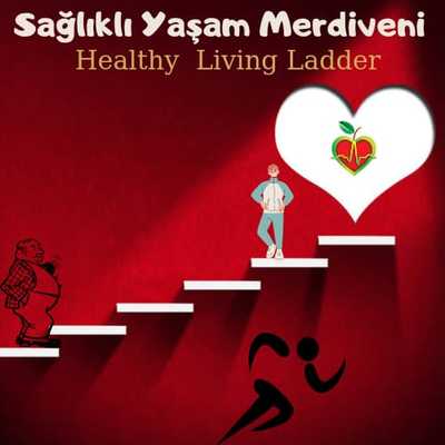 Sağlıklı Yaşam Merdiveni eTwinning Projesi Öğretmen Son Anket Sonuçları by Ersin Akyol - Ourboox.com