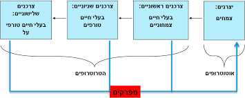 שרשרות מזון ומארגי-מזון by wasfy - Illustrated by יוספי אבו חאמד  - Ourboox.com