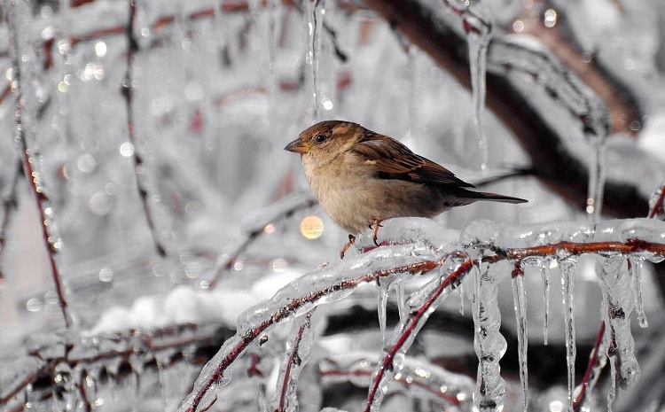 Біда навчить by kulak - Ourboox.com