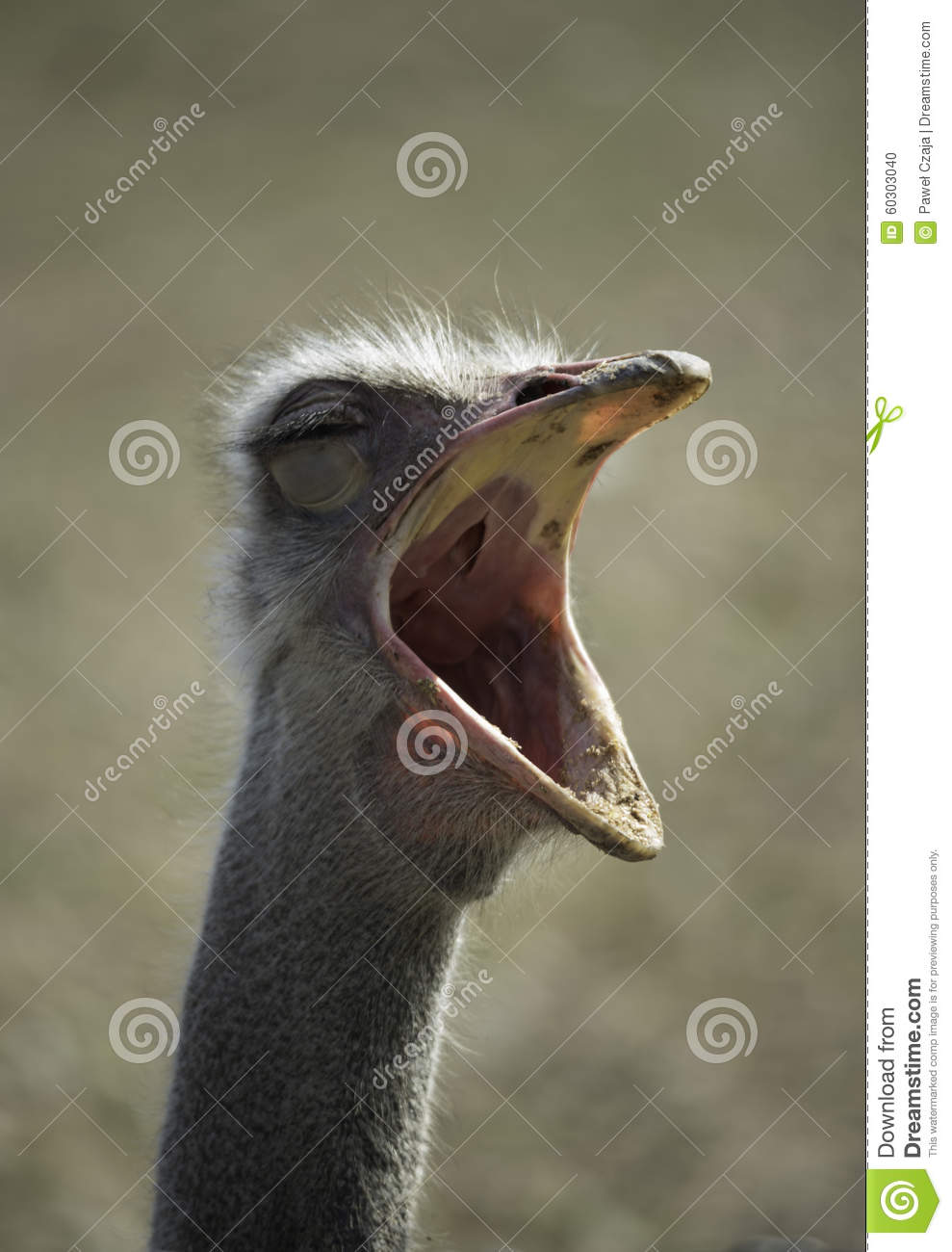 Il mio libro by Angelo Giancaterino - Ourboox.com