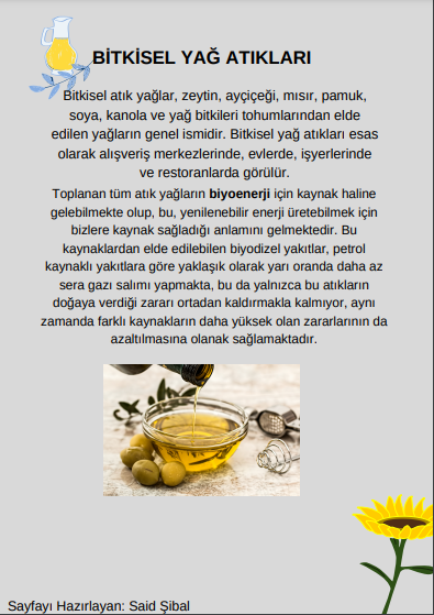 YEŞİL PUSULA by senin evin doğa - Ourboox.com