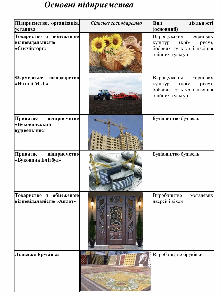 Паспорт Великокучурівської ОТГ by Opolska Anya - Ourboox.com