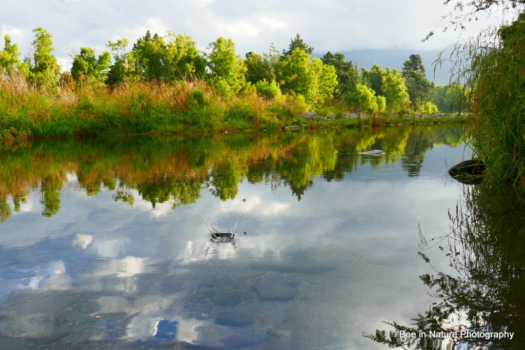 я люблю життя