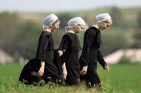Some things you did not know about the lives of the Amish people by Lipaz - Ourboox.com