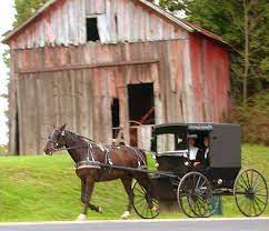 Some things you did not know about the lives of the Amish people by Lipaz - Ourboox.com