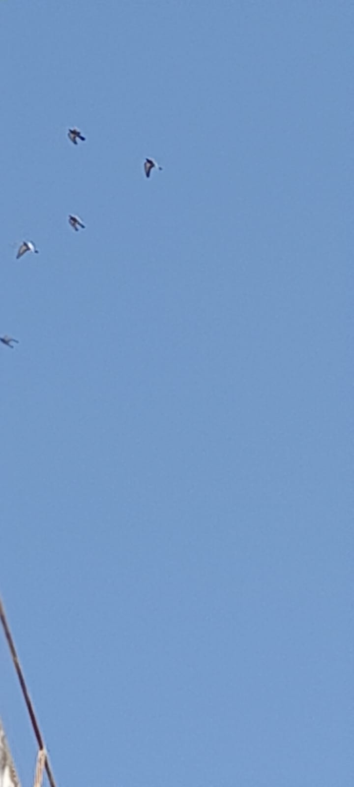 תיק הצילום שלי by Lidor - Ourboox.com