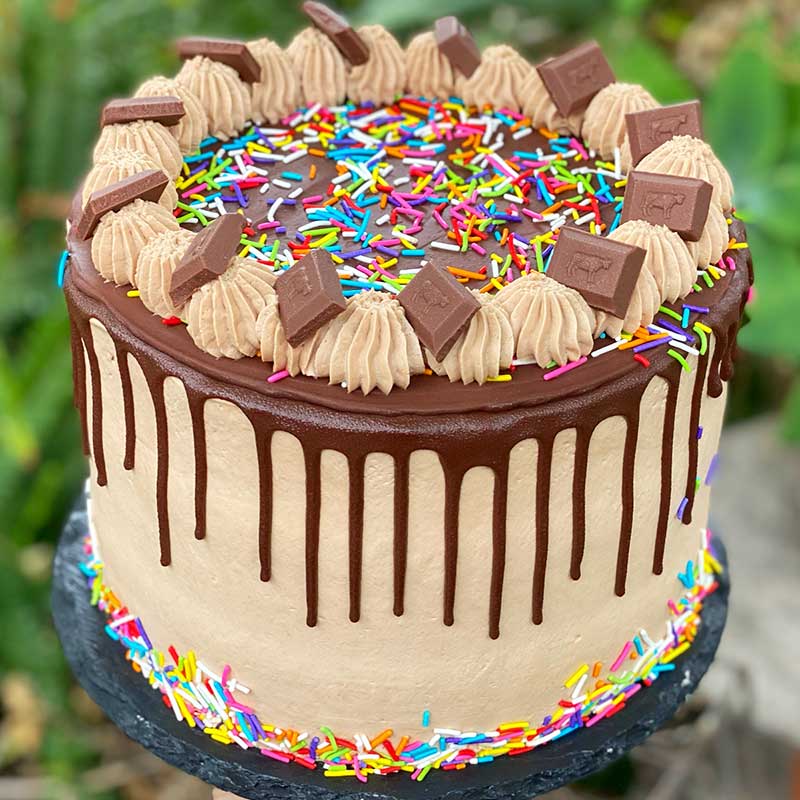 pomidor by rot - Illustrated by מהאינטרנט - Ourboox.com