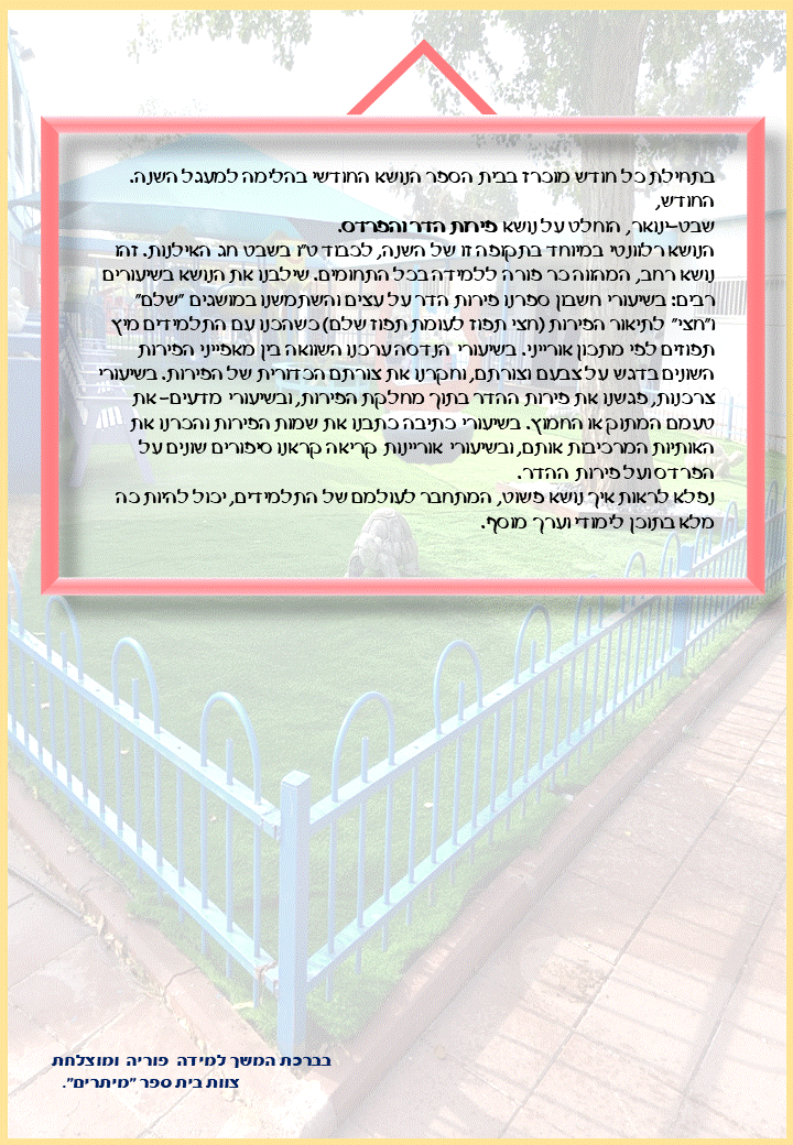 “ידיעות מיתרים” by MEYTARIM  - Ourboox.com