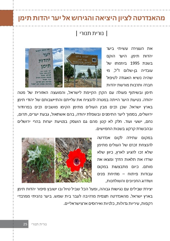 דצמבר ינואר פברואר 2021-2022 by Eele Betamar - Ourboox.com