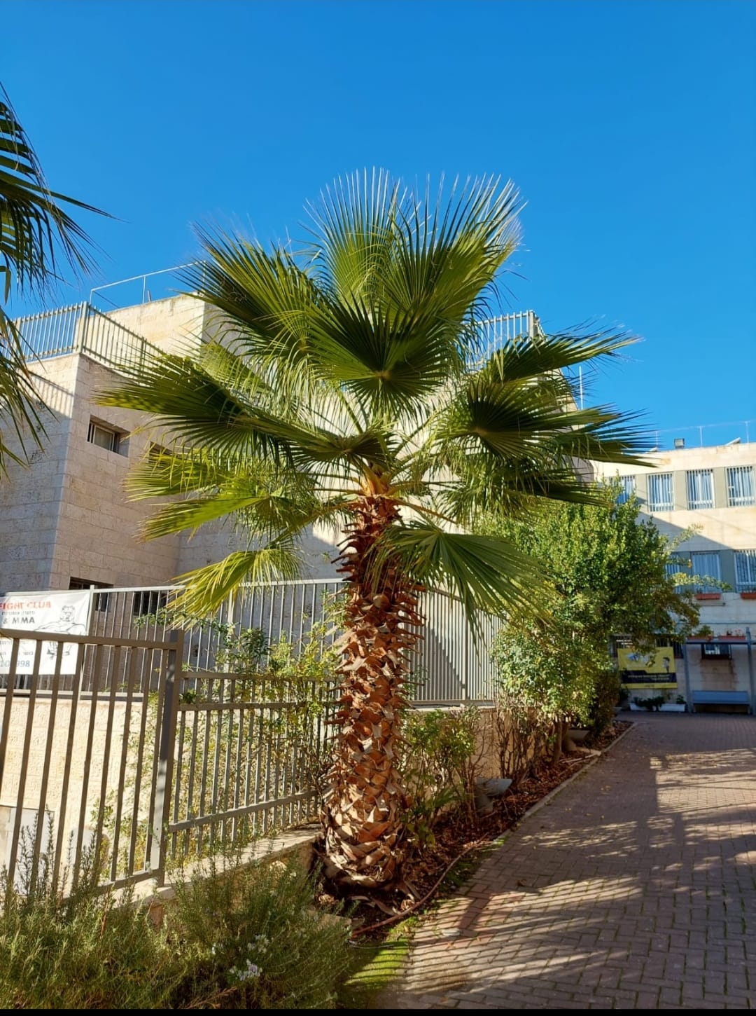 ספר העבודות שלי by Yael banon - Ourboox.com