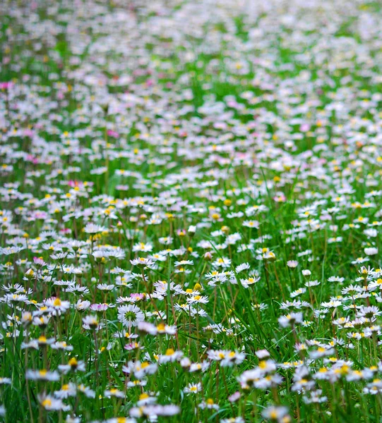 Пригода маленького Вітру by Vika - Ourboox.com