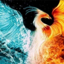 Profile picture of Sümeyye Sıla Duranel