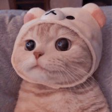 Profile picture of boyana