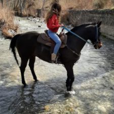 Profile picture of francesca caruso