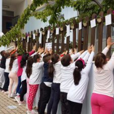 Profile picture of 2 C